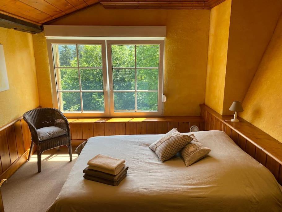 Ferme De Chenezeau - 15 Personnes , 7 Chambres Gérardmer Zewnętrze zdjęcie