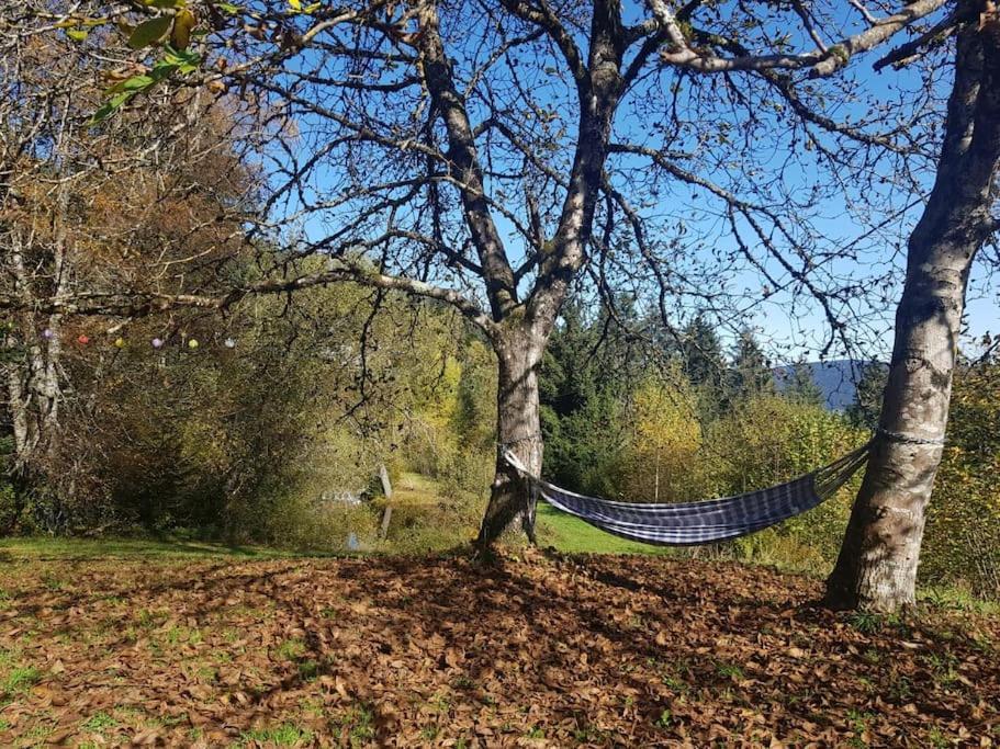 Ferme De Chenezeau - 15 Personnes , 7 Chambres Gérardmer Zewnętrze zdjęcie
