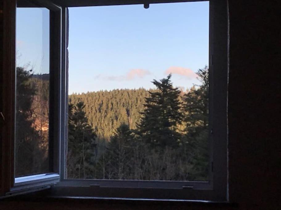 Ferme De Chenezeau - 15 Personnes , 7 Chambres Gérardmer Zewnętrze zdjęcie